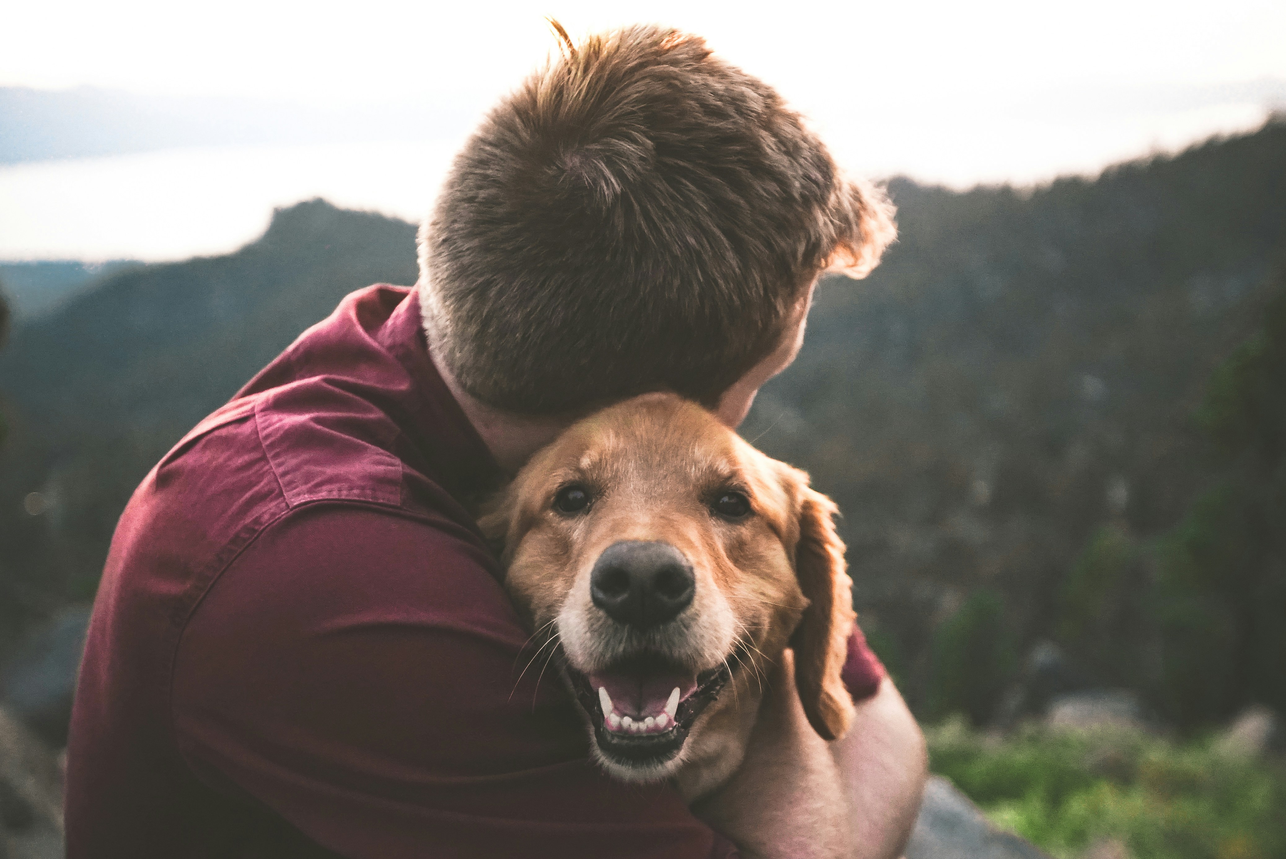 Man hugging a dog
