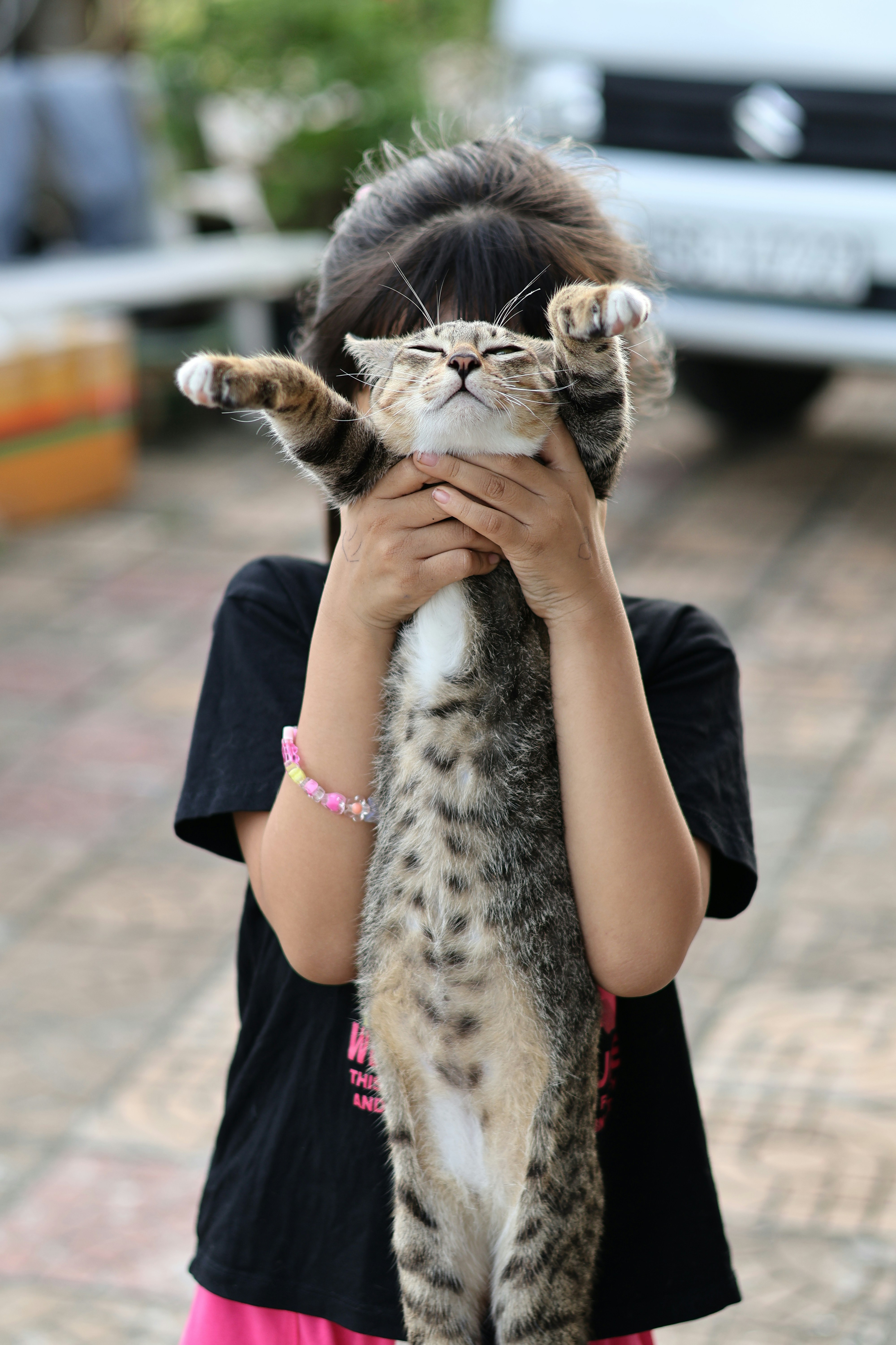 A girl holding a tabby cat