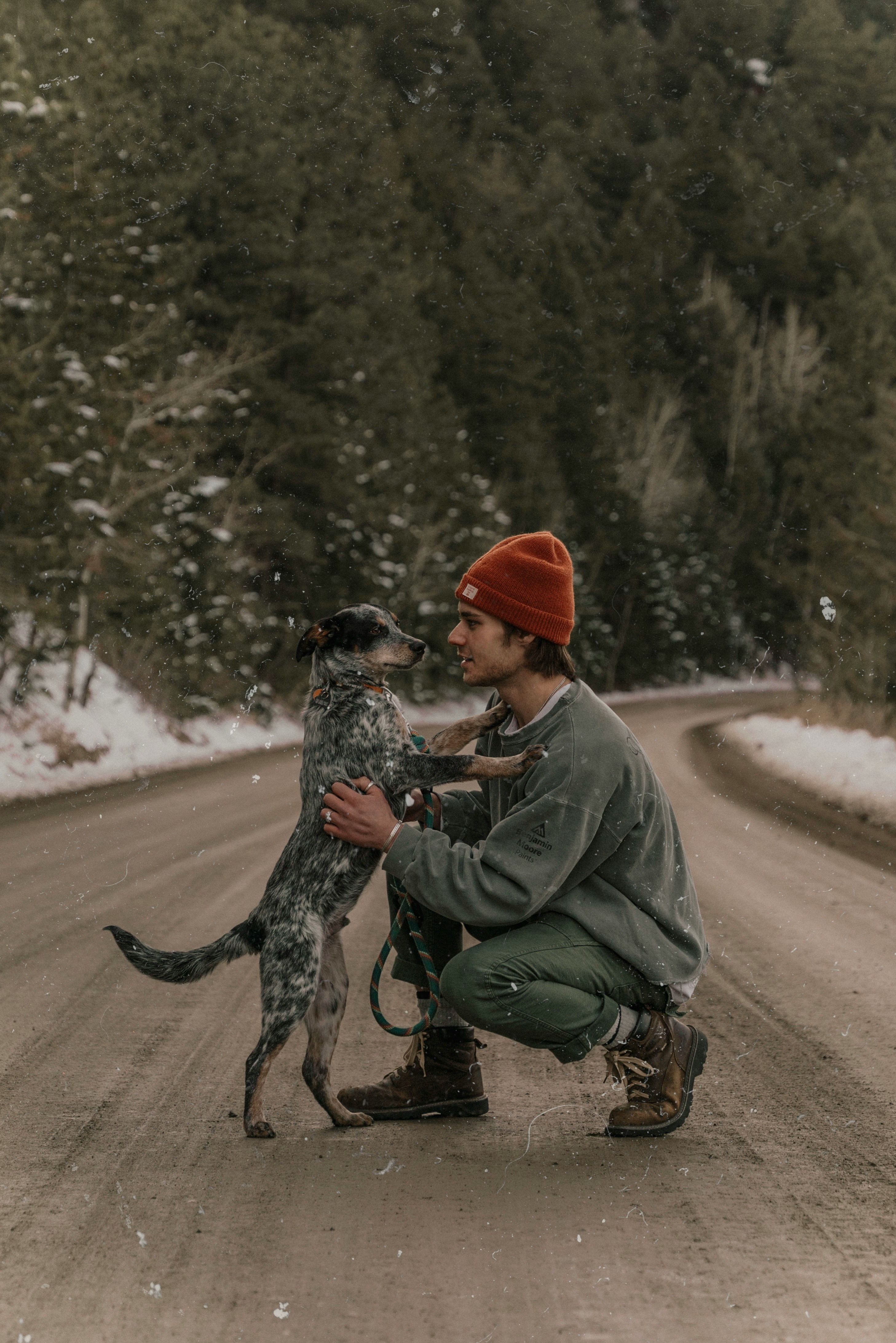 A man playing with a dog in the middle of the road